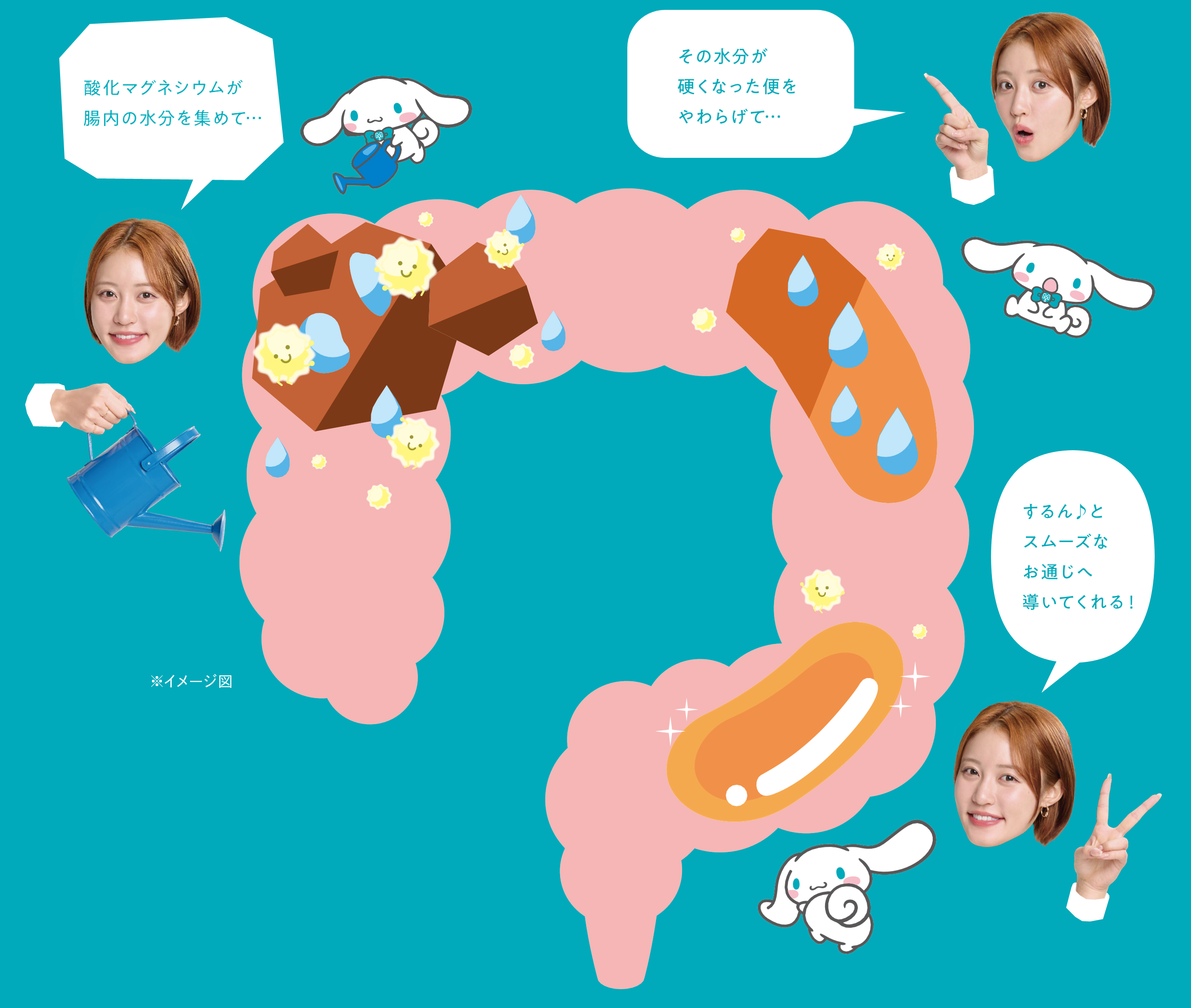 お水をあげようのコラム