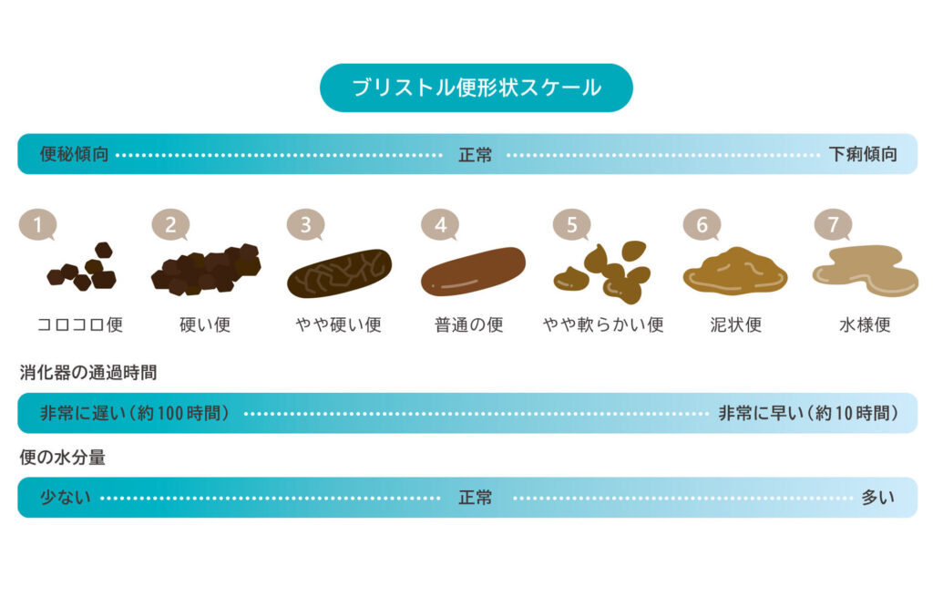 ブリストル便形状スケール