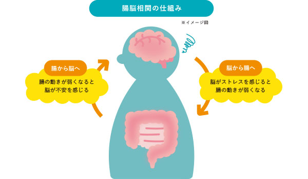 腸脳相関と便秘・お腹の不調の関係を示すイラスト